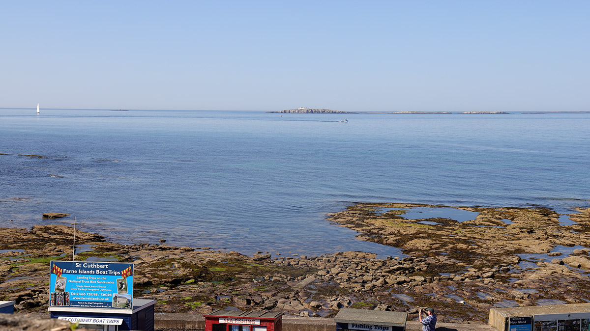 Farne Islands